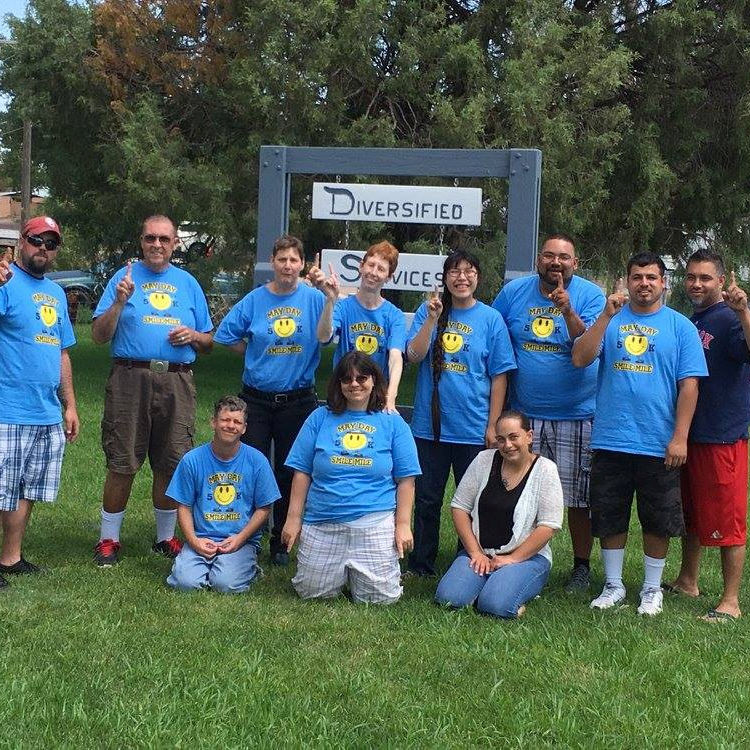 About Diversified Services